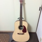 マーチンの中ではかなり安いギターですが、音は極上でした。